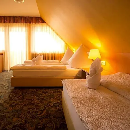 Hotel-restaurant Alpha