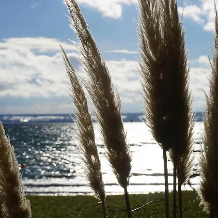 Hotel-restaurant Alpha Hotel