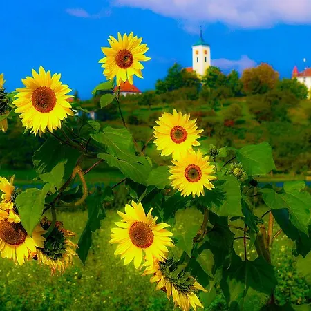 Hotell Hotel-restaurant Alpha