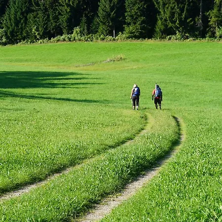 Hotel Hotel-restaurant Alpha 3*