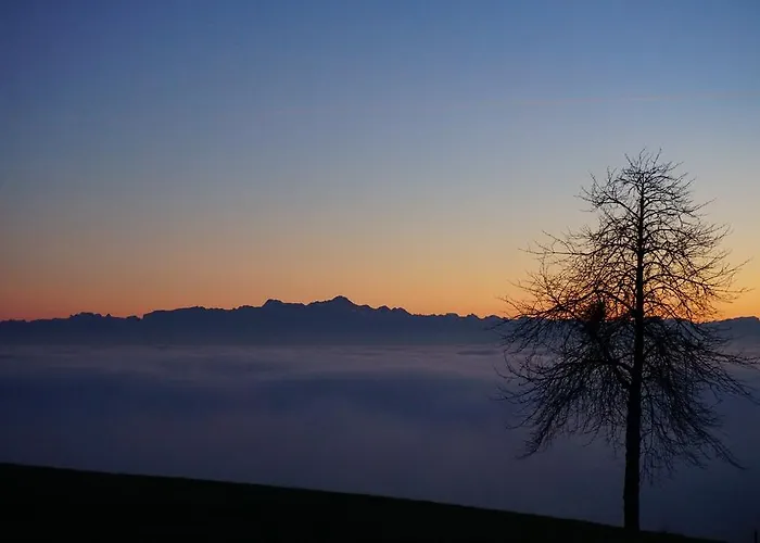 Hotel-restaurant Alpha