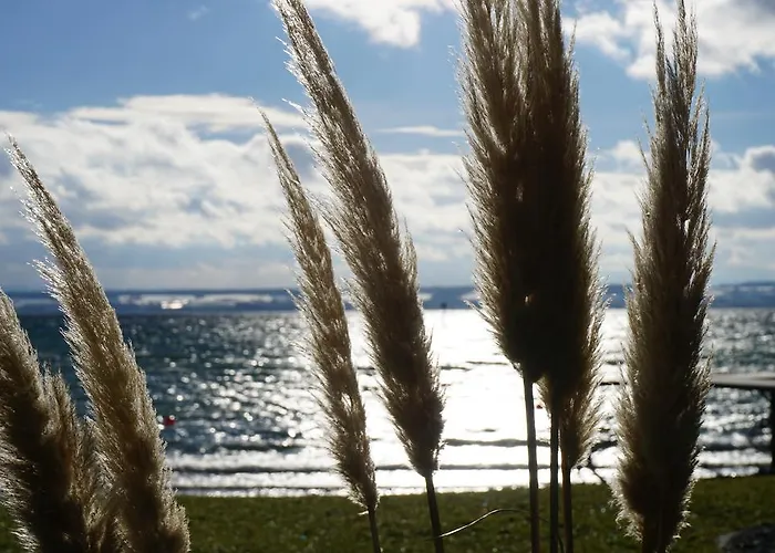 Hotel-restaurant Alpha فندق