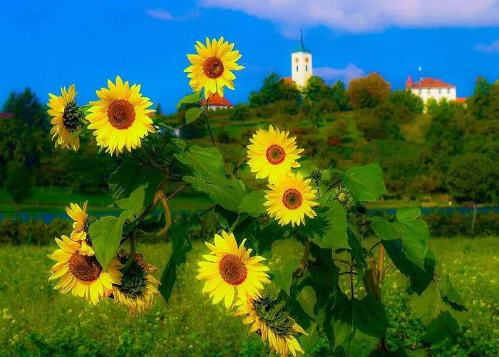 فندق Hotel-restaurant Alpha