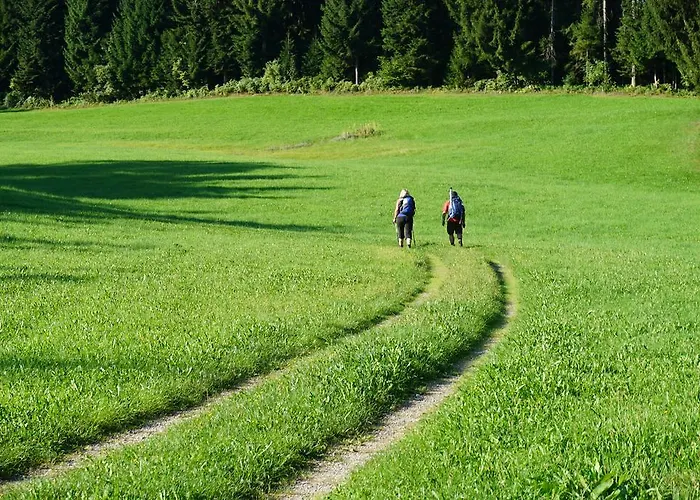 호텔 Hotel-restaurant Alpha 3*