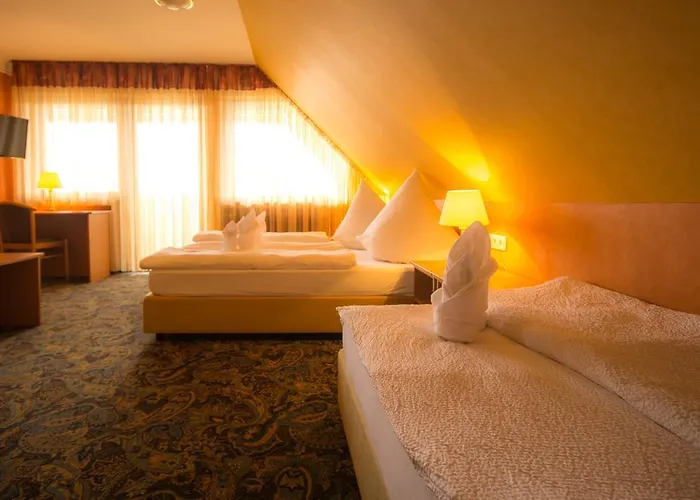 호텔 Hotel-restaurant Alpha 3*